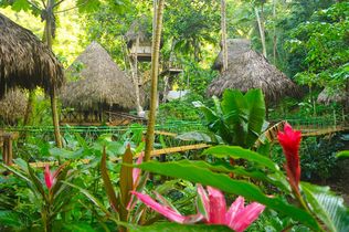 DOMINICAN TREE HOUSE VILLAGE